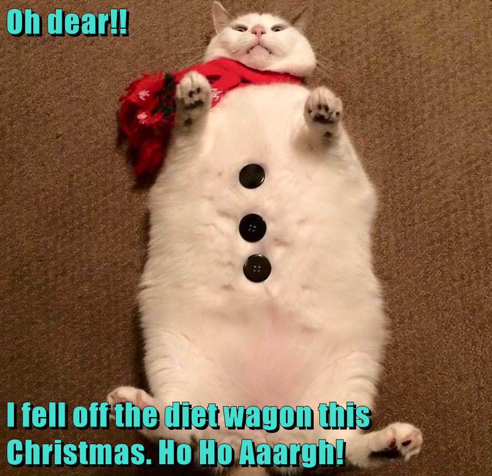 Oh Dear I Fell Off The Diet Wagon This Christmas Ho Ho Aaargh