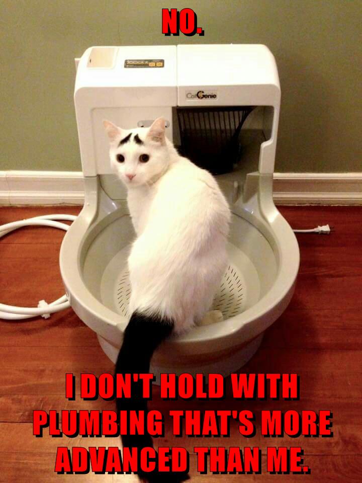 It's Gonna Be a No-Go - Lolcats - lol | cat memes | funny cats | funny ...