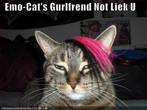 Emo-Cat's Gurlfrend Not Liek U - Cheezburger - Funny Memes | Funny Pictures