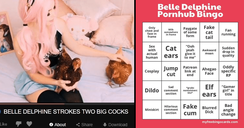 Belle Delphine Meme : r/memes