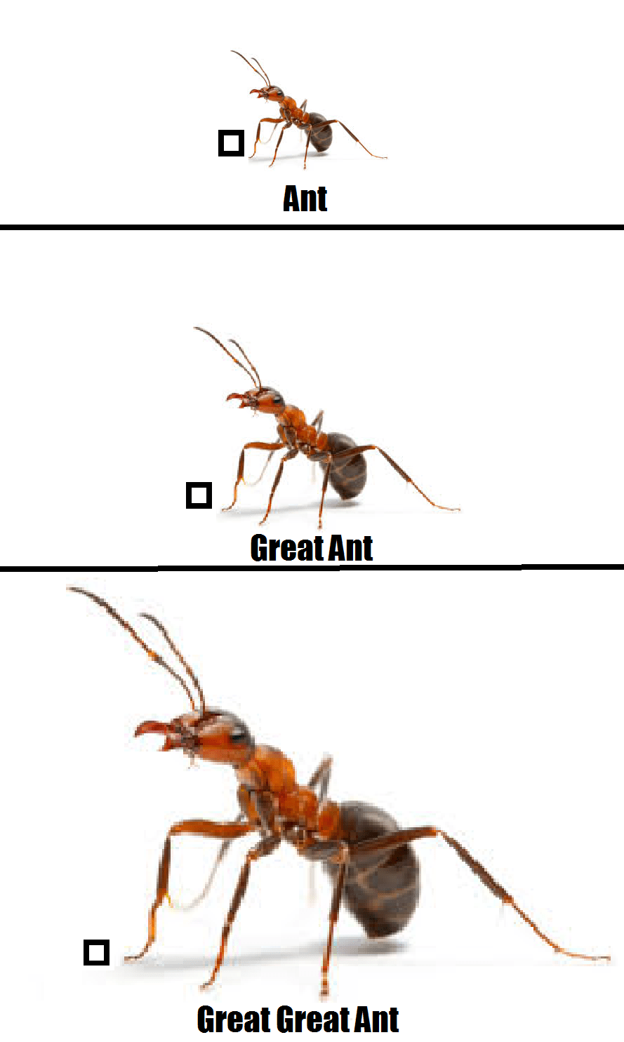Memebase - ant - All Your Memes In Our Base - Funny Memes - Cheezburger