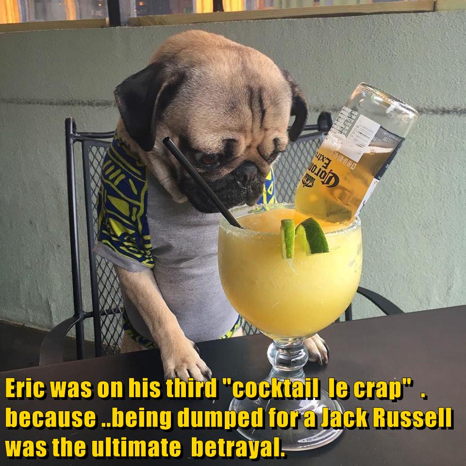 I Has A Hotdog cocktail Funny Dog Pictures Dog Memes Puppy