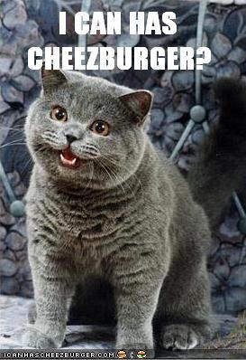 I was there - I Can Has Cheezburger?