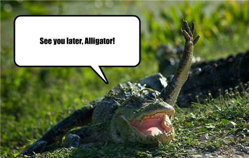 See You Later Alligator Animal Comedy Animal Comedy Funny Animals Animal Gifs