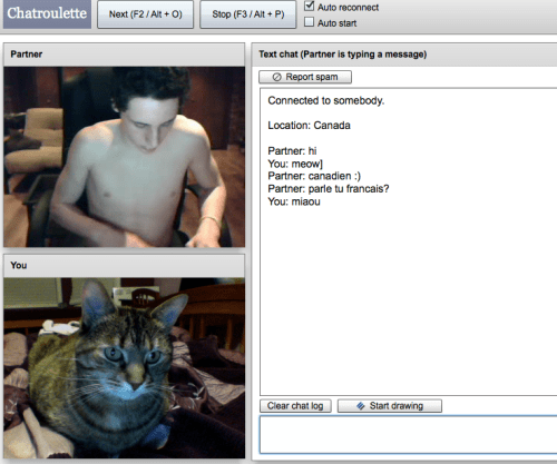 A chat roulette ChatRoulette Quebec