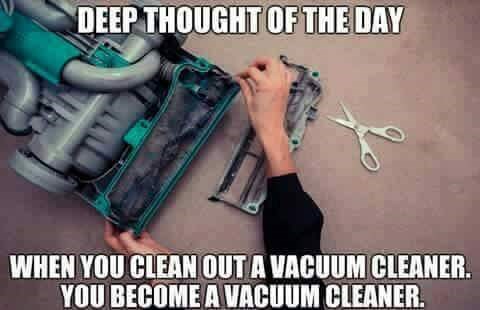 Then Afterwards You Might Have to Hop Into the Vacuum Cleaner Cleaner