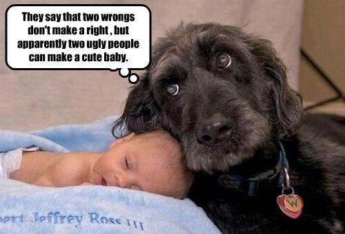 I Has A Hotdog - ugly - Funny Dog Pictures | Dog Memes ...