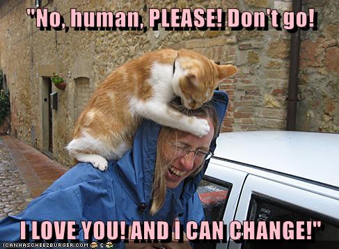 Separation Anxiety - Lolcats - lol | cat memes | funny cats | funny cat  pictures with words on them | funny pictures | lol cat memes | lol cats