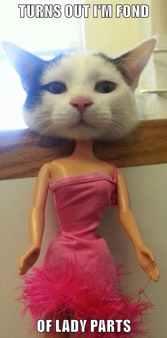 funny barbie pictures with captions
