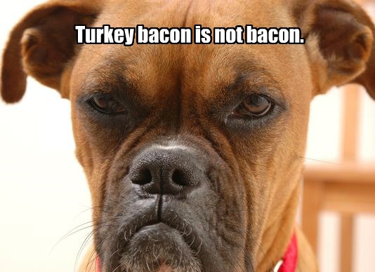 turkey-caption-bacon-8772327936