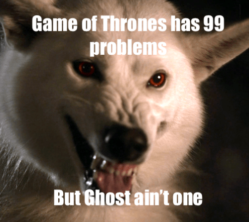 If Ghost Dies We Riot Game Of Thrones Game Of Thrones Meme