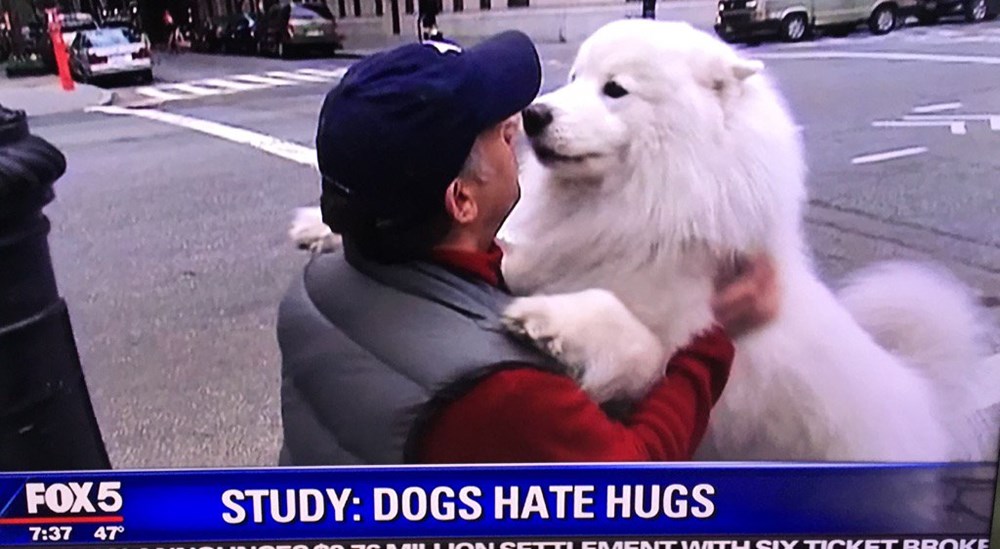 Do Dogs Really Hate Hugs