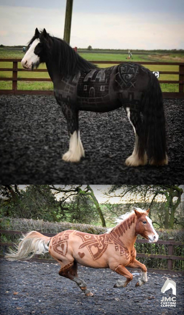 Creative Horse Clipper Turns Coats Into Works of Art I Can Has