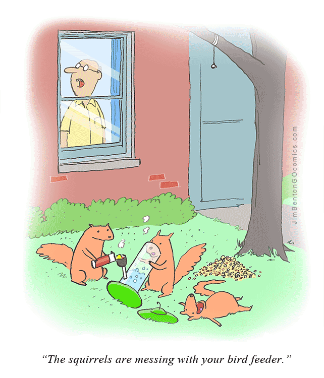Gosh Darn Squirrels!  Comics 4koma comic strip, web