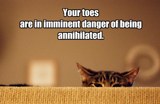 Never Wiggle Your Toes Around Kitteh! - Lolcats - lol | cat memes ...