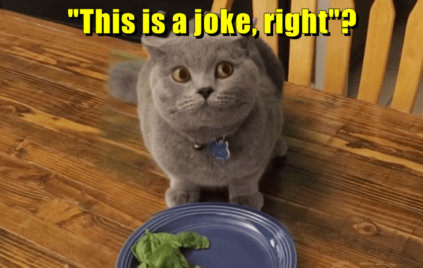 I Know You're Not Serious! Lolcats lol cat memes funny cats