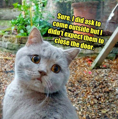 Be Careful What You Ask For, for You May Very Well Get It - Lolcats ...