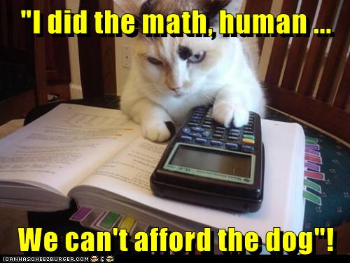 how i see math word problems cat