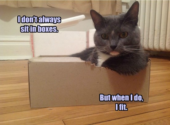 The Most Fitting Cat in the World - Lolcats - lol | cat memes | funny ...