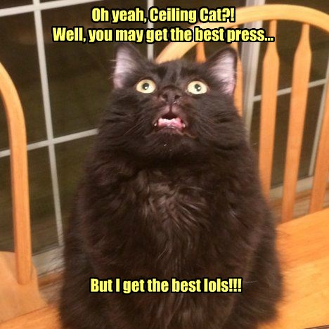 Boo Ya!! - Lolcats - lol | cat memes | funny cats | funny cat pictures ...