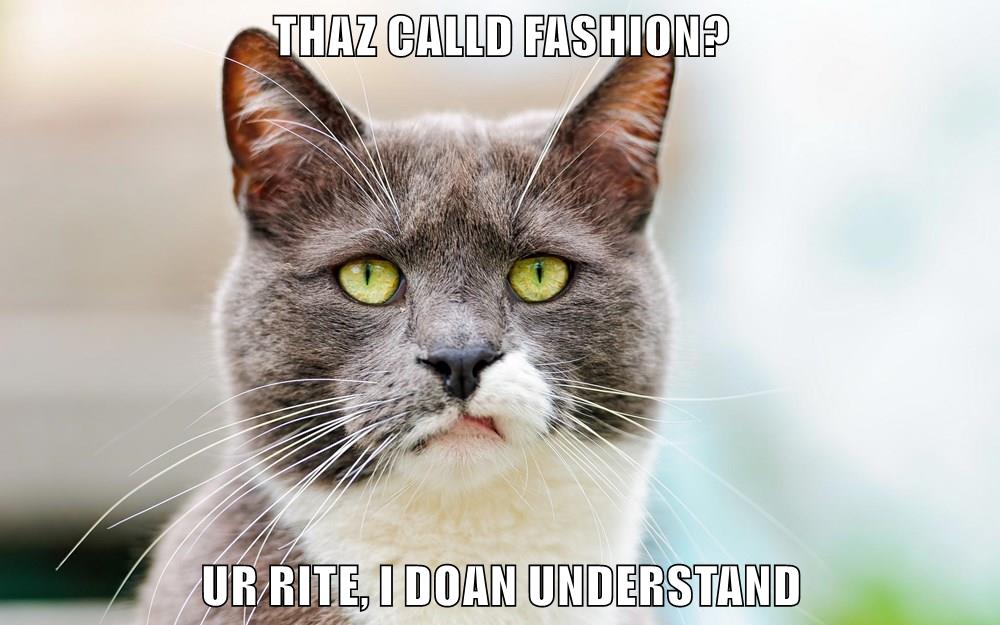 Lolcats judge LOL at Funny Cat Memes Funny cat pictures with words on them lol cat