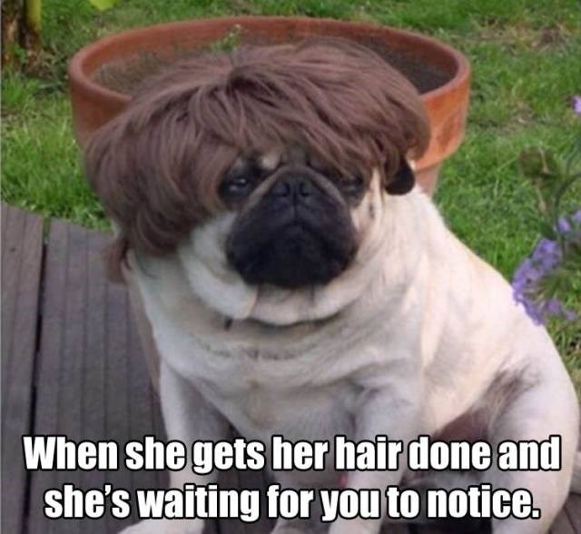old singles dating