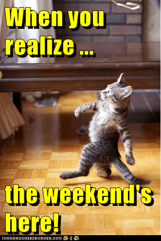 Lolcats - weekend - LOL at Funny Cat Memes - Funny cat pictures with ...