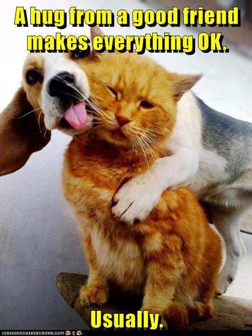 I Has A Hotdog - hug - Funny Dog Pictures | Dog Memes | Puppy Pictures