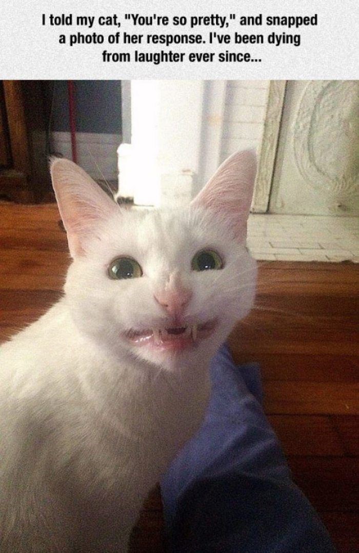 That Smile! - I Can Has Cheezburger?