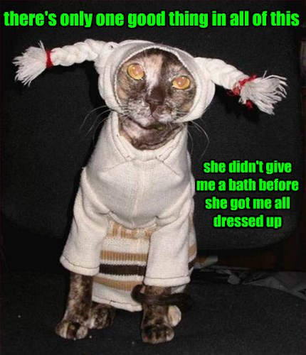 Thank God For Small Favors - Lolcats - lol | cat memes | funny cats ...