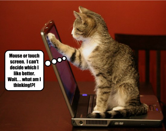 This Is Why Cats Prefer Laptop Computers To Tablets Lolcats lol