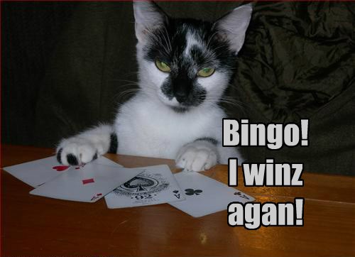 Totally free bingo games