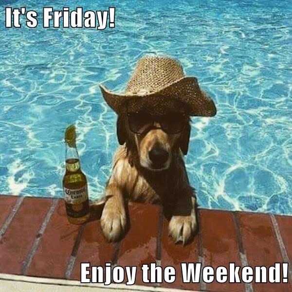 It's Friday! Enjoy the Weekend! - I Has A Hotdog - Dog Pictures - Funny ...