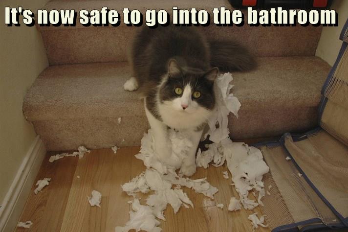 I'll work on the curtains next to let more light in - Lolcats - lol