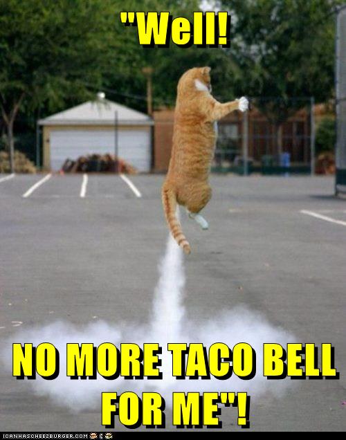 "Well! NO MORE TACO BELL FOR ME"! - Lolcats - lol | cat ...