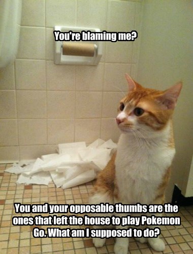 You're blaming me? - Lolcats - lol | cat memes | funny cats | funny cat ...