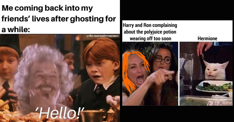 BookBub - Who is the Hermione in your life? 16 Hermione Memes Only True Harry  Potter Fans Will Appreciate