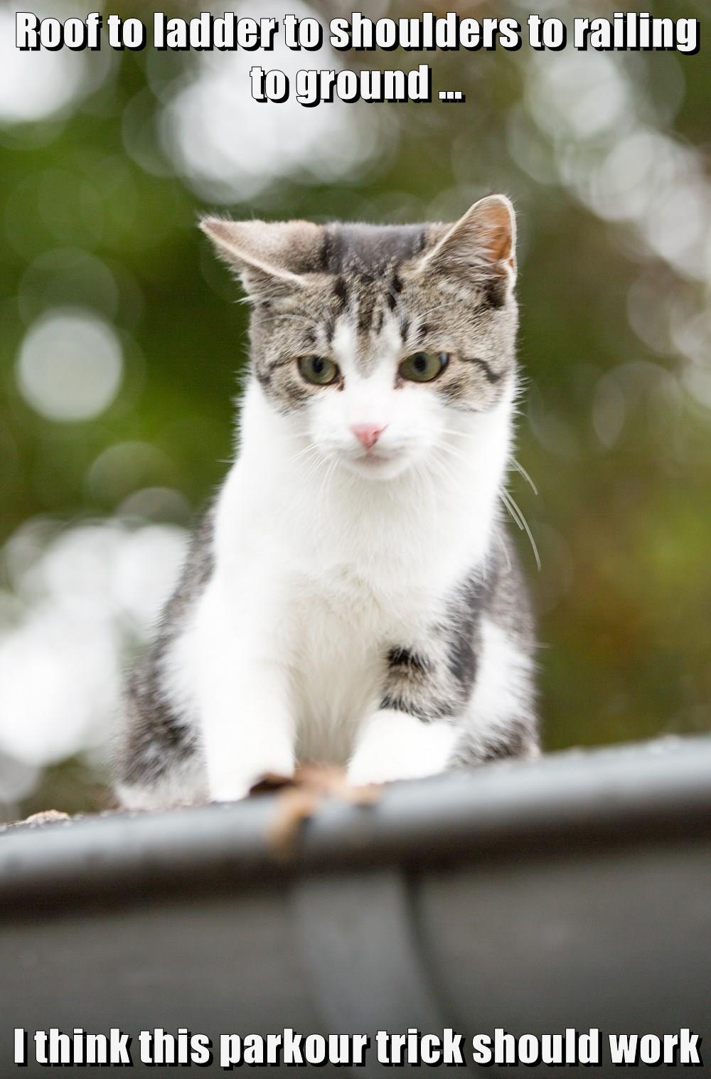Roof to ladder to shoulders to railing to ground … I think this parkour