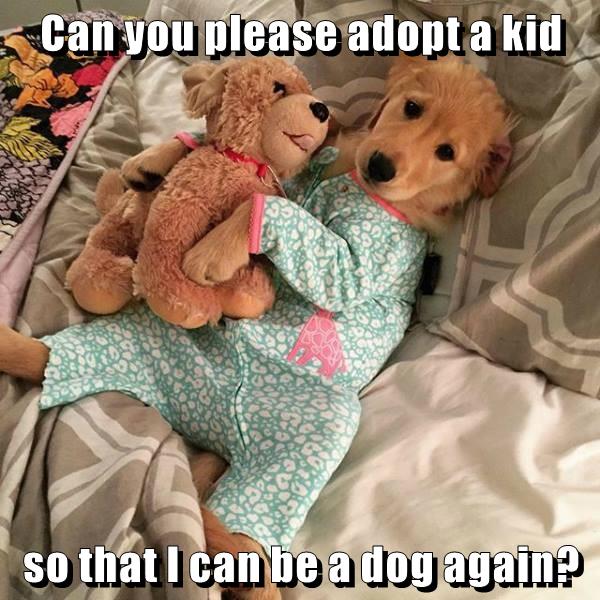 Can you please adopt a kid so that I can be a dog again? I Has A