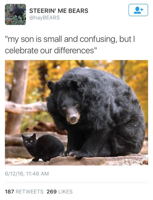 It's Normal For Baby Bears to Purr, Right? - Failbook - Failing On Facebook