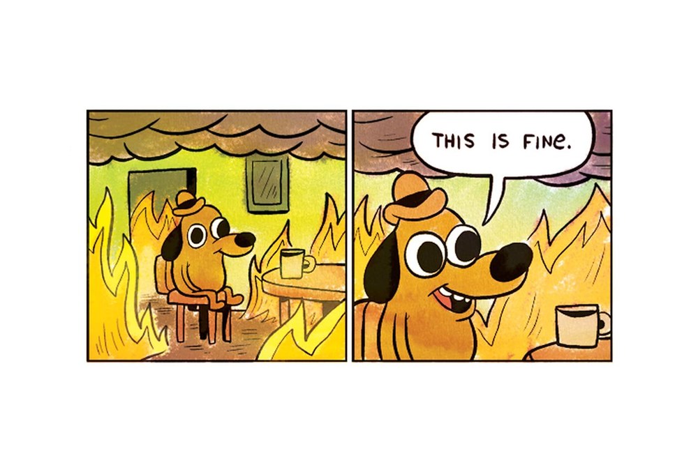 2016 Is Going So Poorly That We Broke The "This Is Fine" Dog Meme