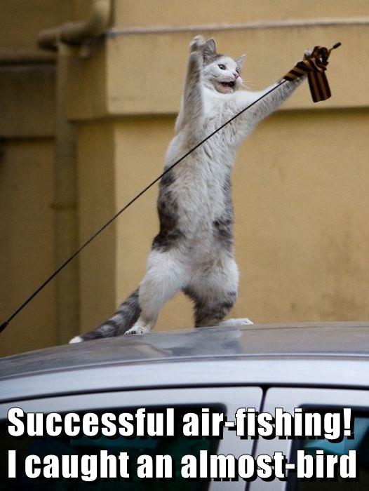 Successful air-fishing! I caught an almost-bird - Lolcats - lol | cat ...