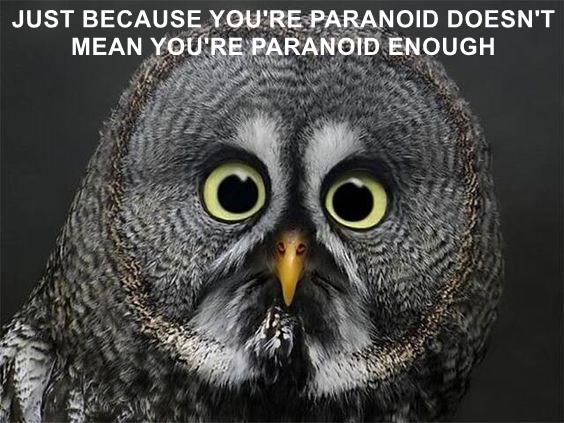 funny-memes-owl-be-more-paranoid-then