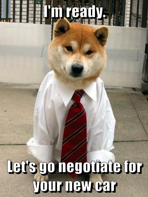 I'm ready. Let's go negotiate for your new car - I Has A Hotdog - Dog ...