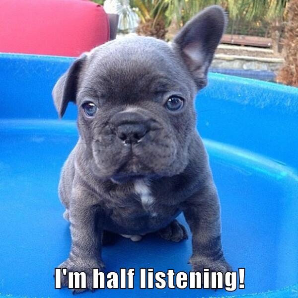 I'm half listening! - I Has A Hotdog - Dog Pictures - Funny pictures of ...