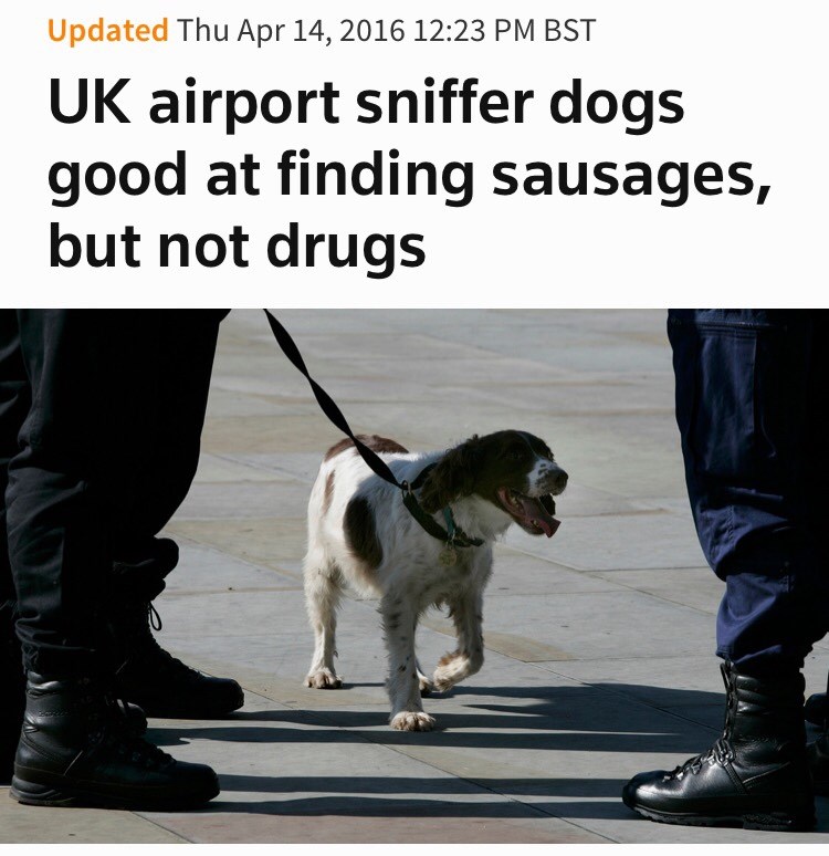 are sausages good for dogs