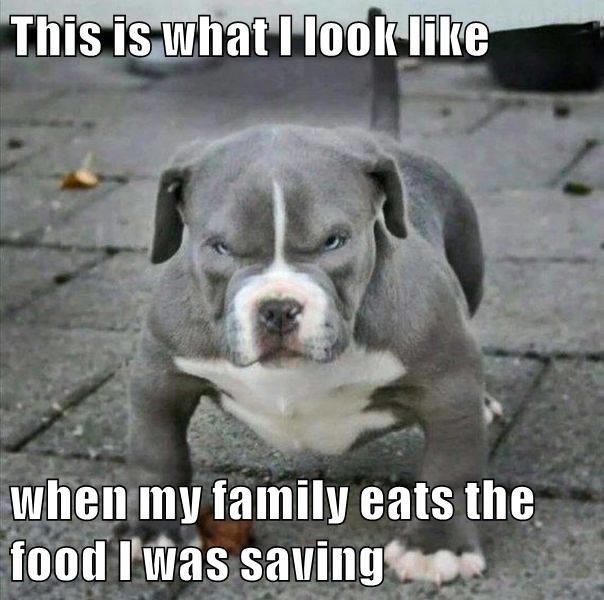 This is what I look like when my family eats the food I was saving - I ...