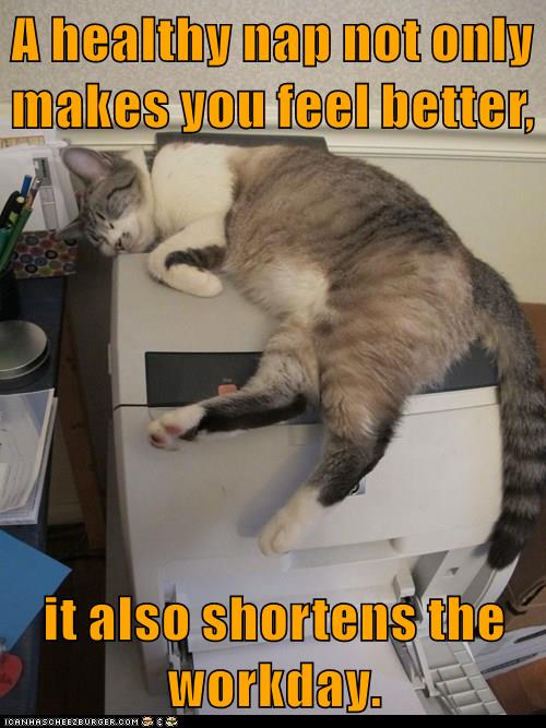 Especially a 7 hour 59 minute nap - Lolcats - lol | cat memes | funny ...