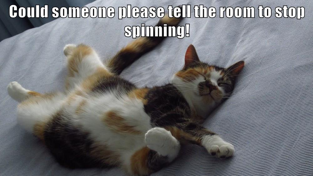 Could someone please tell the room to stop spinning! - Lolcats - lol ...