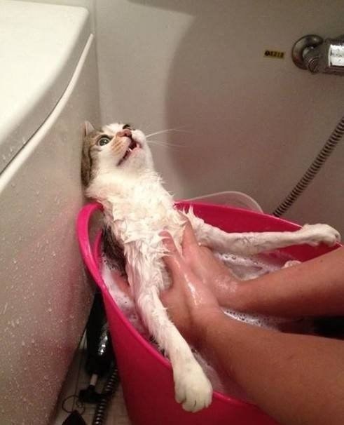 keegan allen and shay mitchell dating